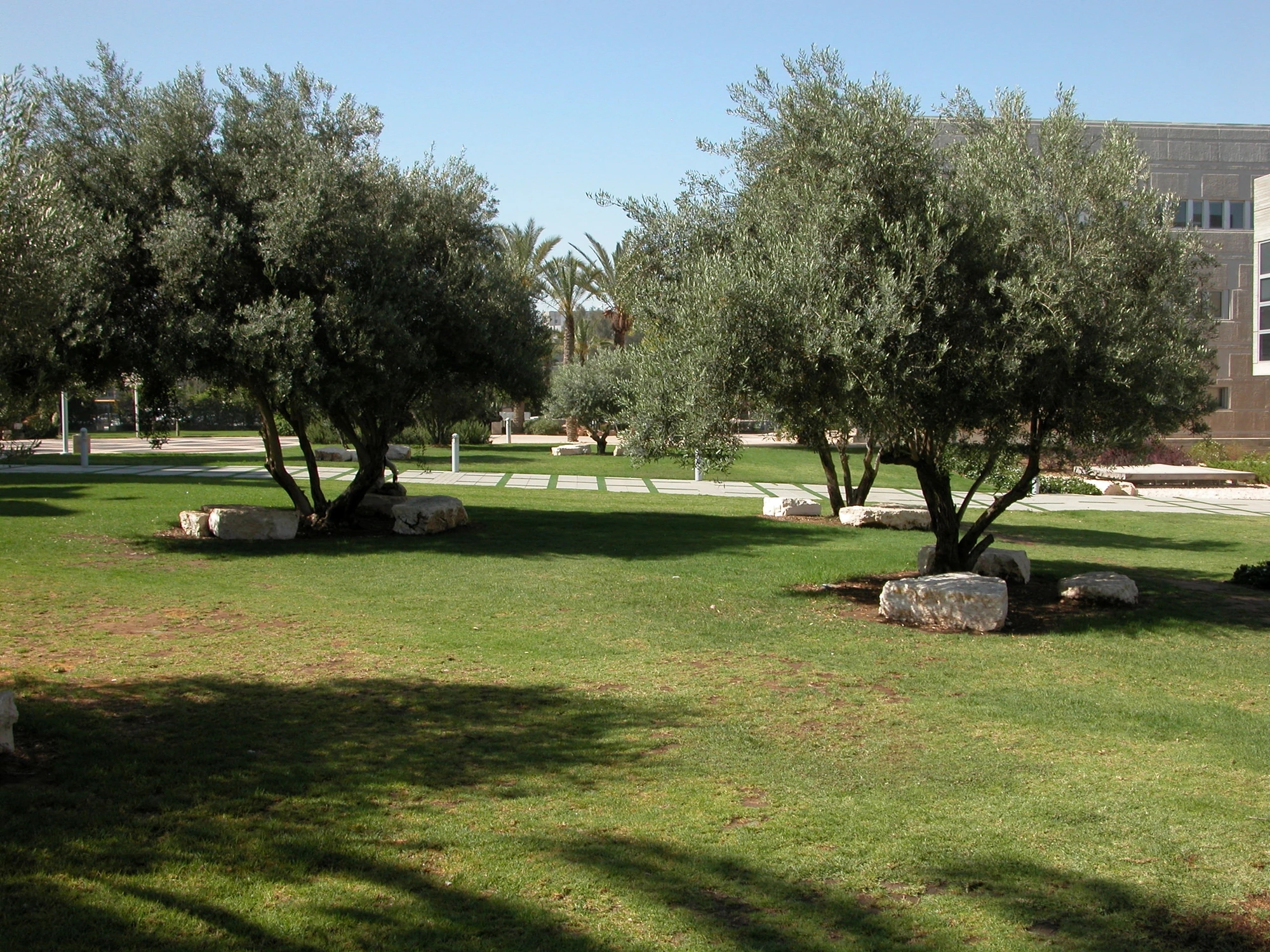 קמפוס אוניברסיטת בן גוריון